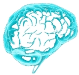 Cognitive training - brain Cognitive training - brain